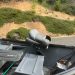 DP-5 slide thumbnail